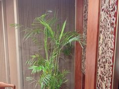 -上海精菜馆(虎踞关店)