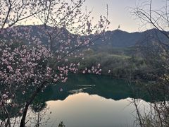 -龙坞茶村