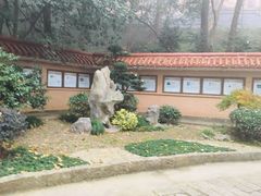 -之江大学-旧址