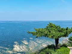 -养马岛旅游度假区