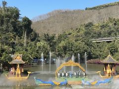 -西双版纳原始森林公园