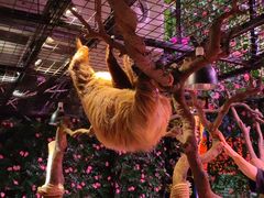 -正佳雨林生态植物园