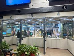 -都市枪神实弹射击俱乐部