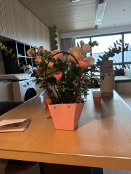 -禧月荟S月子中心(侨城店)