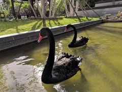 -野三坡清泉山风景区