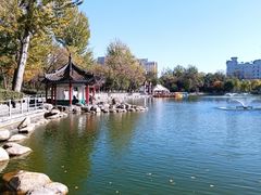 -莲湖公园