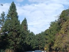 -南靖田螺坑土楼群景区