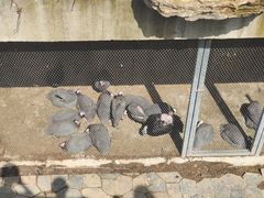 -太原动物园
