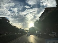 -楚畹园