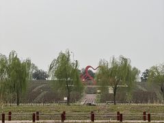 -西京湾花海