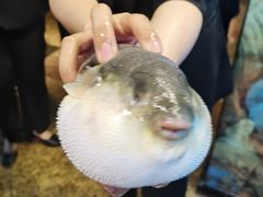 -肆月河豚·淮扬菜·湘菜(华天店)