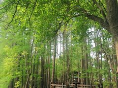 -东湖落雁景区