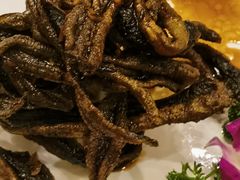 -新聚丰菜馆(太监弄店)