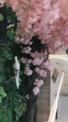 点击看大图 -逸丝风尚