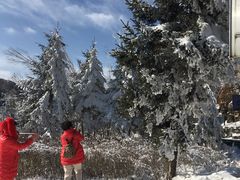 -秦岭风景区