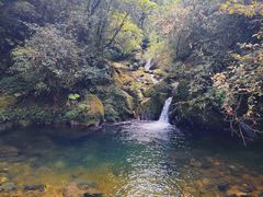 -瓦屋山景区