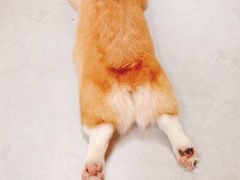 -汪说·狗咖(旺城大厦店)