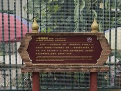 -一寨两国风景区
