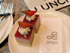 -gaga(北京新中关购物中心店)