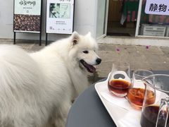 -收获咖啡HARVEST RESERVE(苍山店)