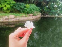 -上海共青森林公园