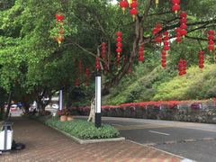 -广州市流溪河国家森林公园