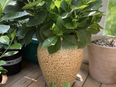 -马路边边麻辣烫联盟路店