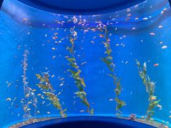 -欢乐海岸海洋奇梦馆