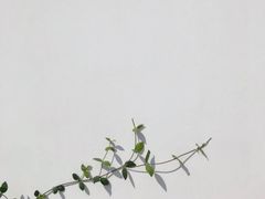 -AHAVA·Fang Baking Studio