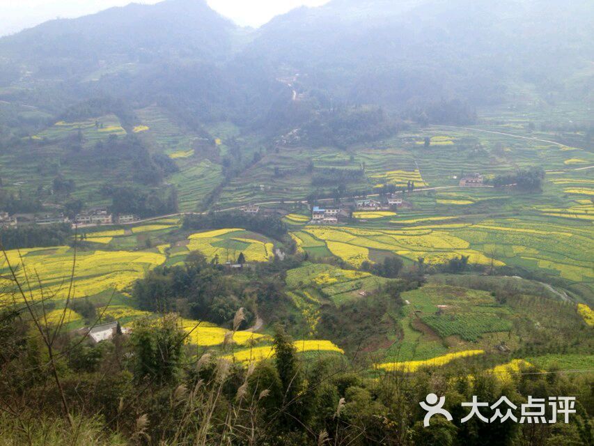 桃花山-图片-雅安周边游-大众点评网