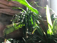 -中家鑫园温泉酒店鑫悦汤泉