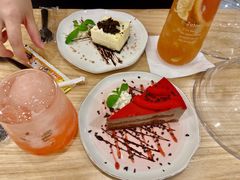 -飞行喵MR PILOT|猫舍·猫咖(静安大融城店)