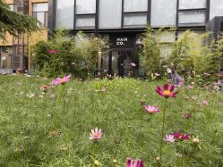 -Hair Co.一间沙龙