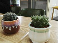 -川闻清粥小菜(建外SOHO店)
