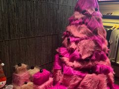 -TZ House音乐现场(茅台店)