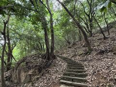 -杭州半山国家森林公园