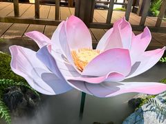 -味钱塘·钱塘浙宴(宋城之江银泰店)