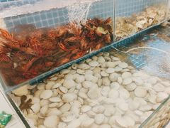 -港畔赶海蒸汽海鲜烧烤自助(仙螺岛店)