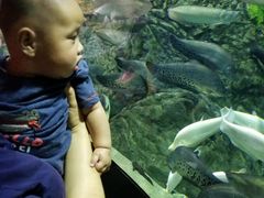 -成都浩海立方海洋公园