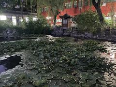 -文瀛公园