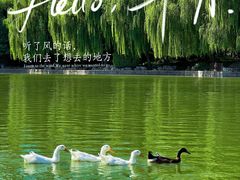 -团结湖公园