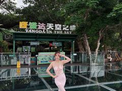 -呀诺达热带雨林