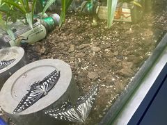 -上海昆虫博物馆