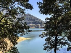 -广州市流溪河国家森林公园