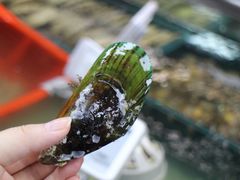 -盒马渔市餐厅