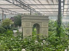 -南宫五洲植物乐园