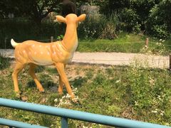 -无锡动物园·太湖欢乐园