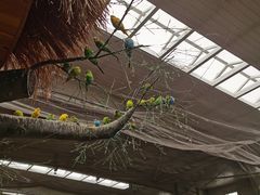 -南宫五洲植物乐园