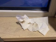 -抚顺中伟假日国际酒店