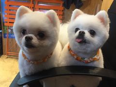 -八公叔叔宠物美容连锁(春申店)